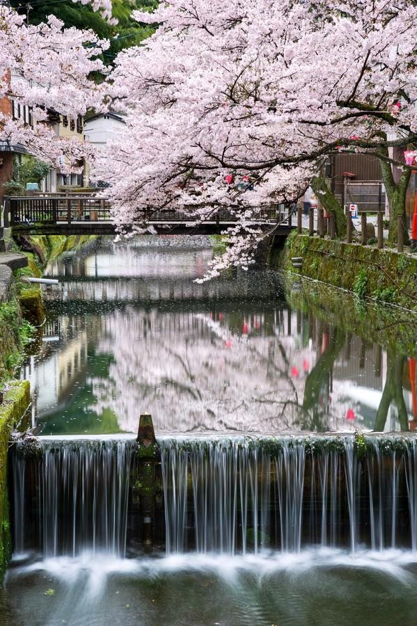 Yutouya Ryokan Toyooka  Extérieur photo